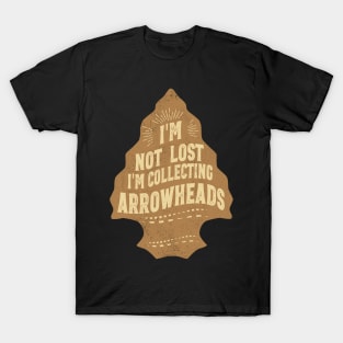 Funny Arrowhead Collecting Vintage Look Gifts T-Shirt